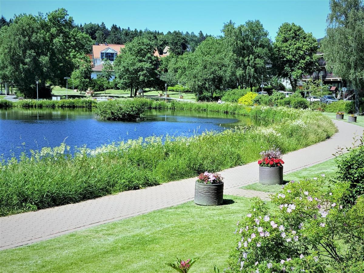 Grossdorf Ferienwohnung Waldsuite Im Harz Гослар Екстер'єр фото
