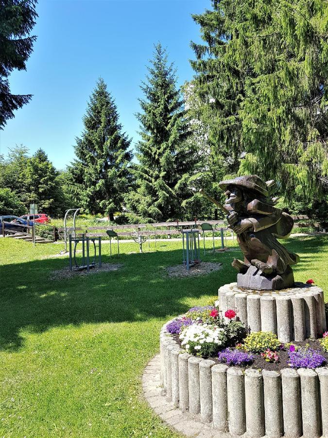 Grossdorf Ferienwohnung Waldsuite Im Harz Гослар Екстер'єр фото