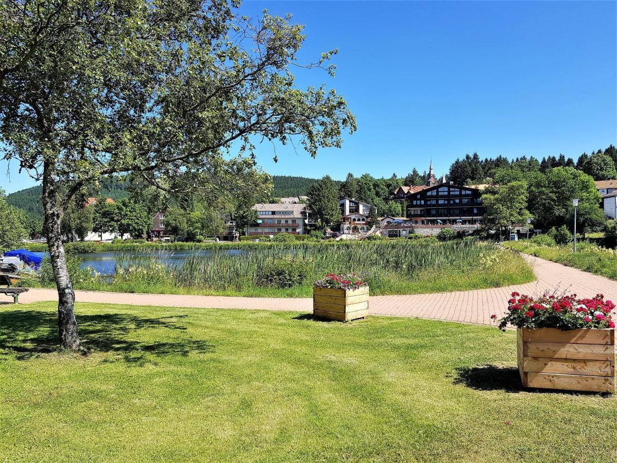 Grossdorf Ferienwohnung Waldsuite Im Harz Гослар Екстер'єр фото