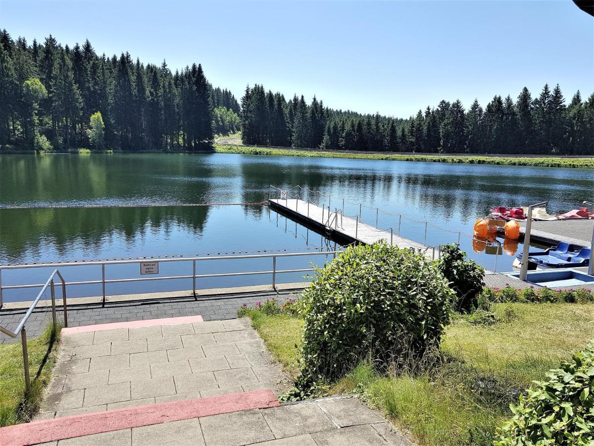 Grossdorf Ferienwohnung Waldsuite Im Harz Гослар Екстер'єр фото